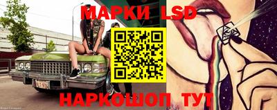 гидра Будённовск