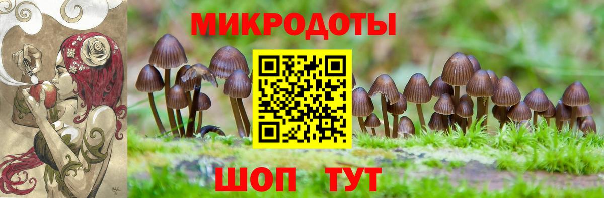 Балабаново  Псилоцибиновые грибы мицелий  Вход с VPN 
