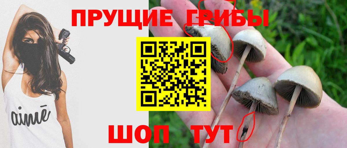 Галлюциногенные грибы ЛСД Балабаново