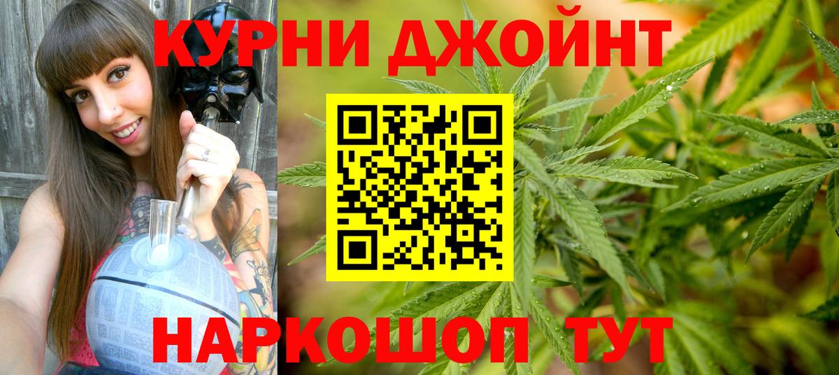 Конопля гибрид Балабаново
